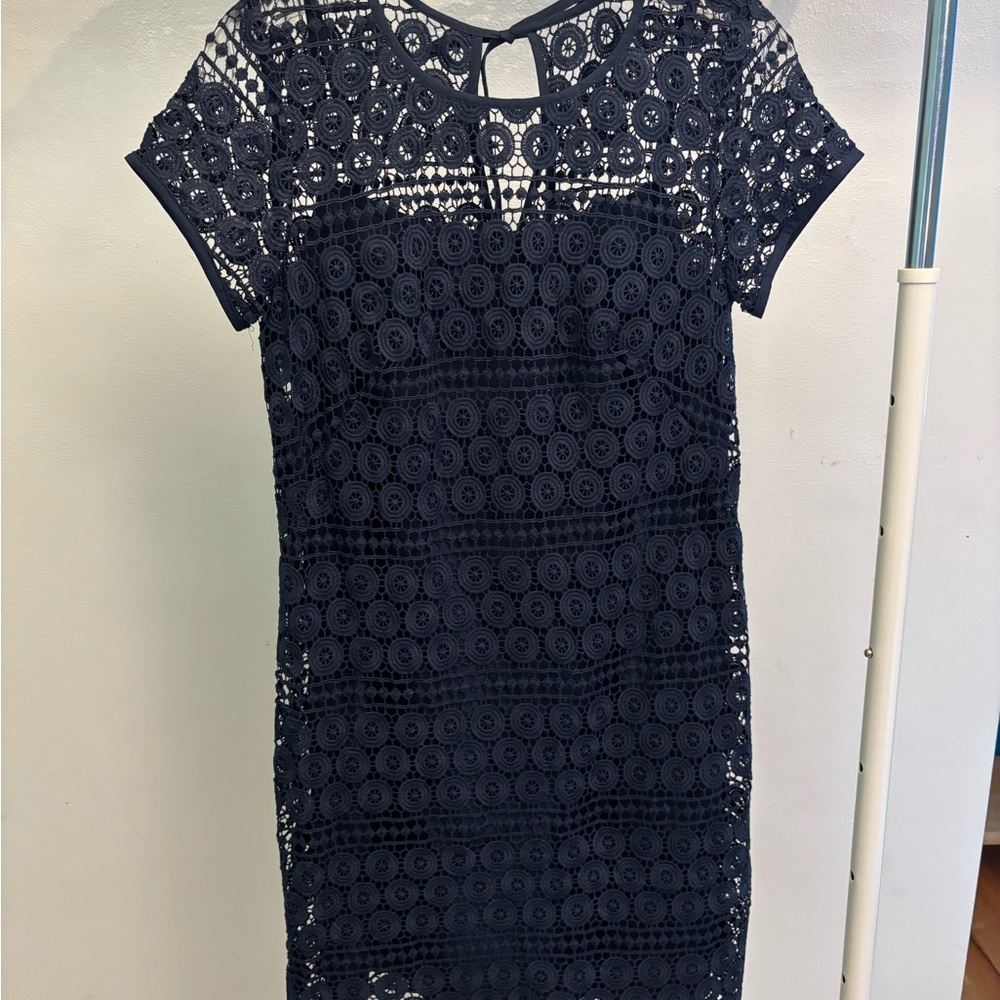 LOFT Outlet Navy Lace Mini Dress
